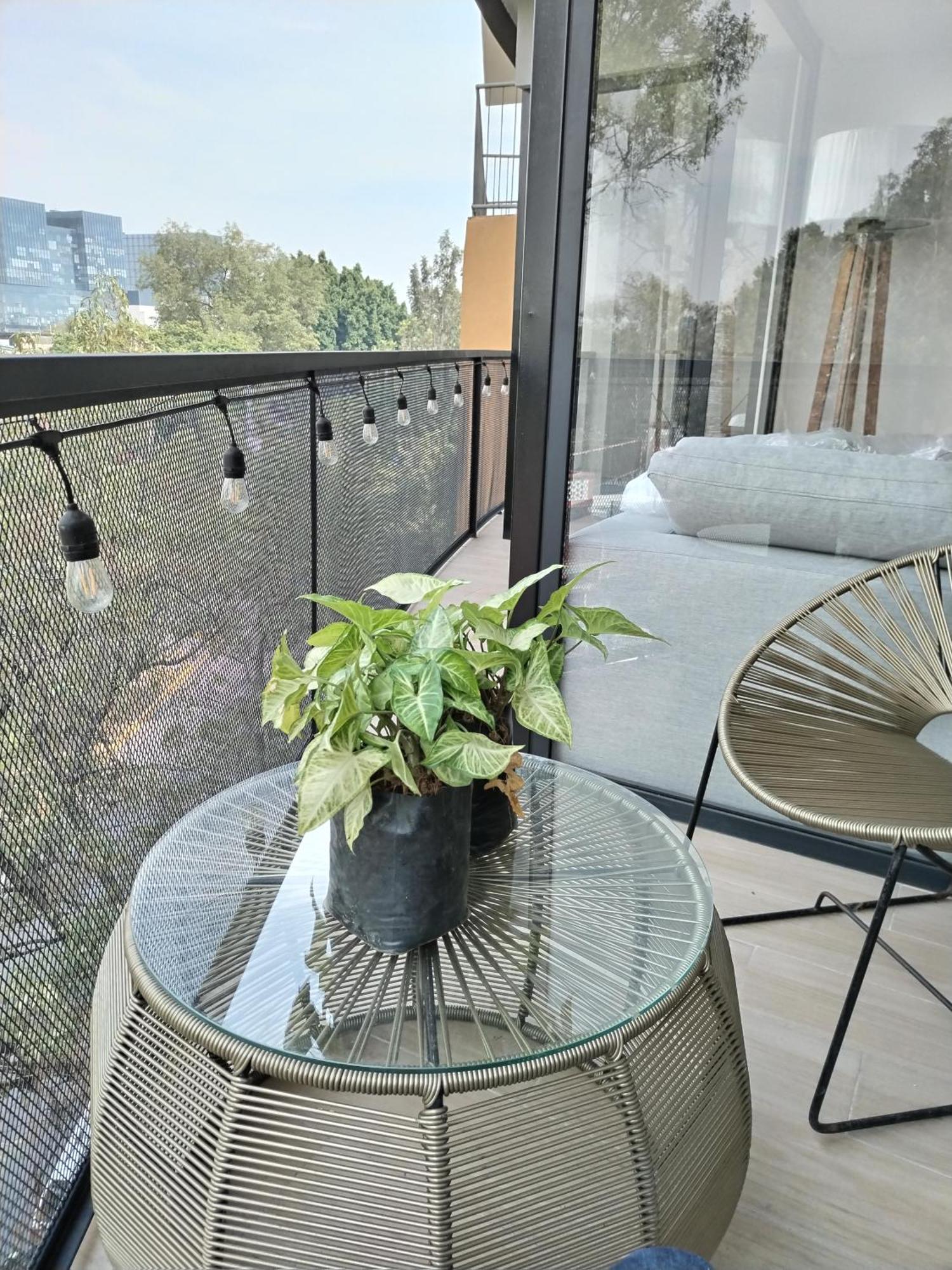 Residencial Chicle D401 Appartement Mexico-stad Buitenkant foto